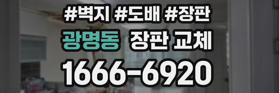 광명동 장판 교체