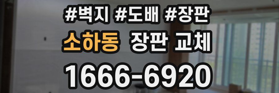 소하동 장판 교체