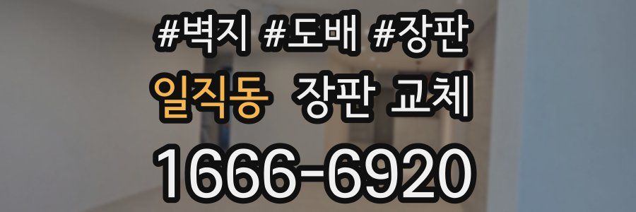 일직동 장판 교체