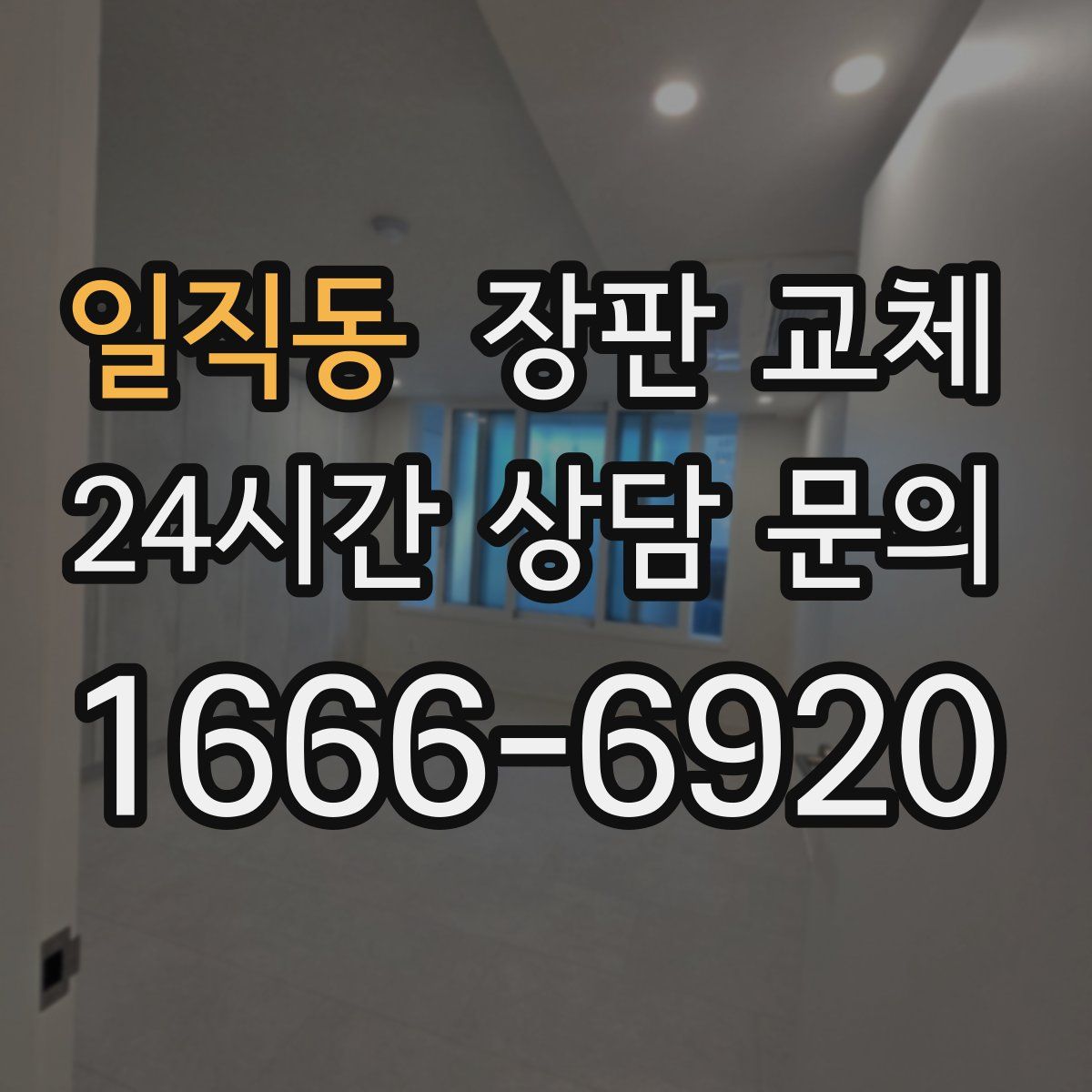 일직동 장판 교체