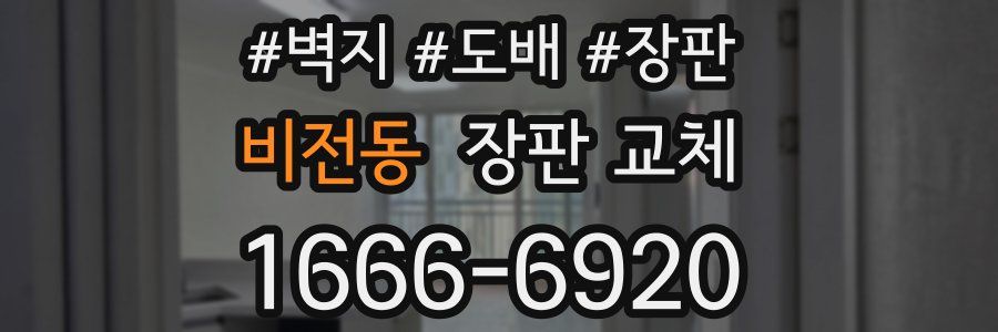 비전동 장판 교체