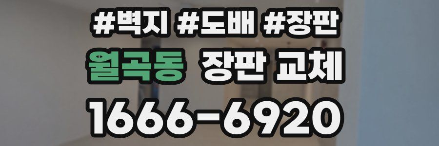 월곡동 장판 교체