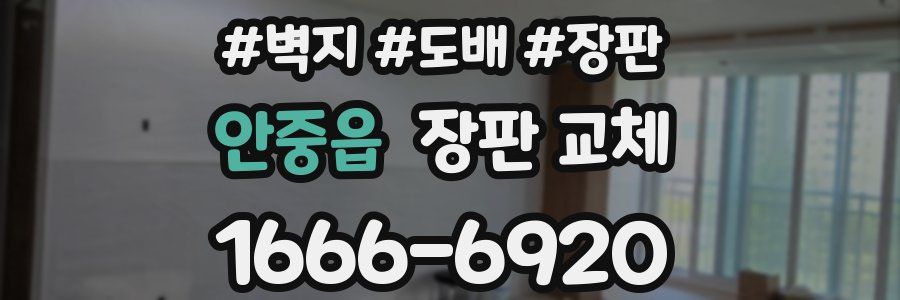 안중읍 장판 교체
