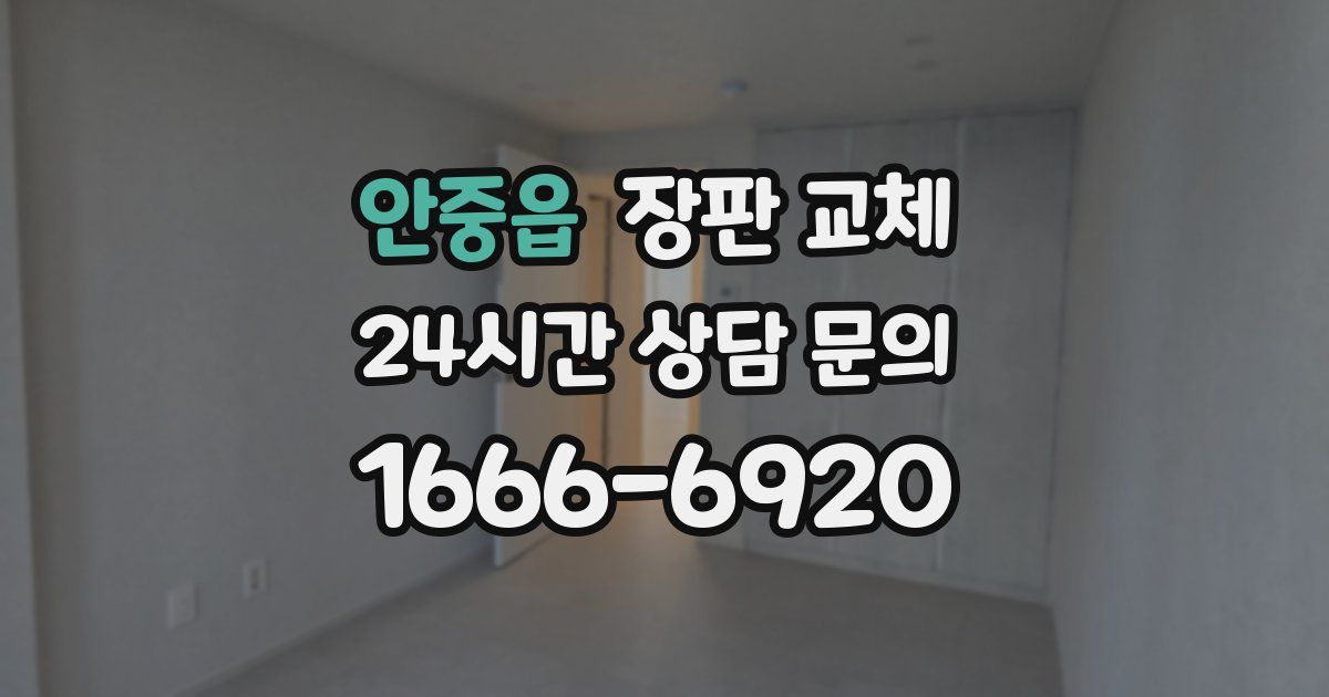 안중읍 장판 교체