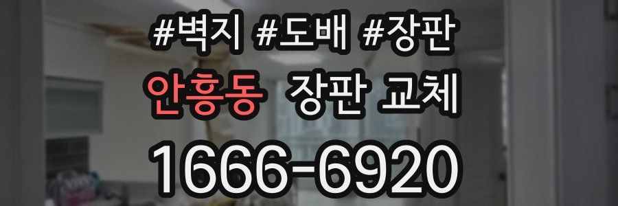 안흥동 장판 교체