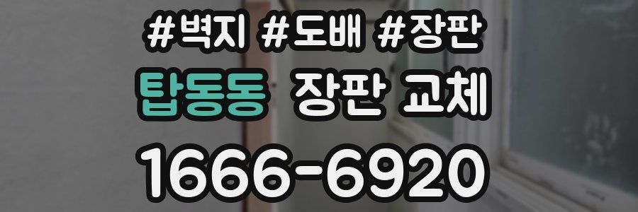 탑동동 장판 교체