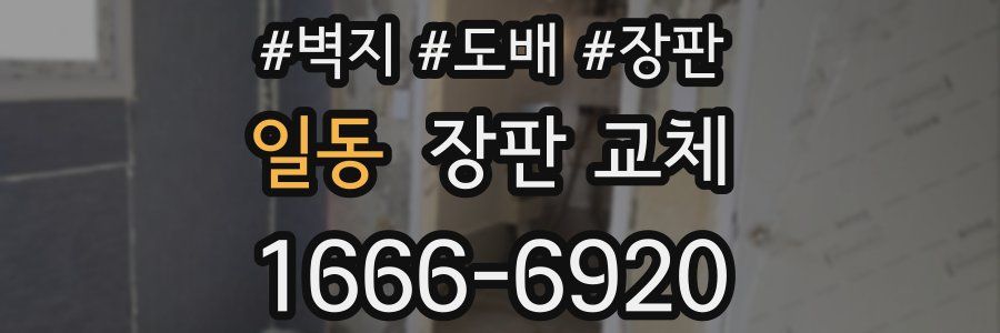 일동 장판 교체