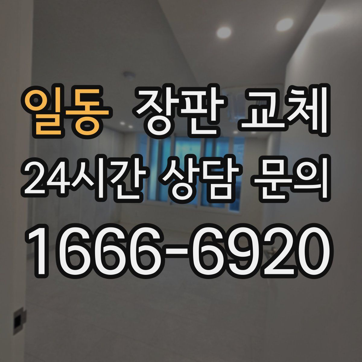 일동 장판 교체