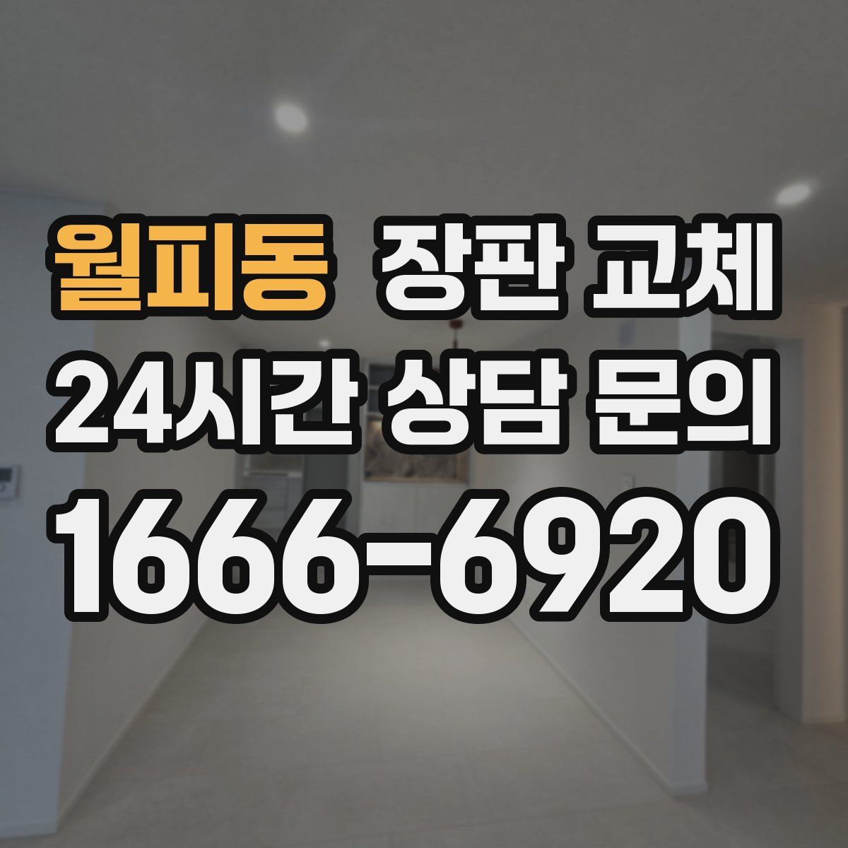 월피동 장판 교체