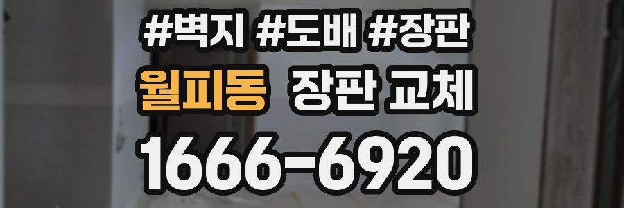 월피동 장판 교체