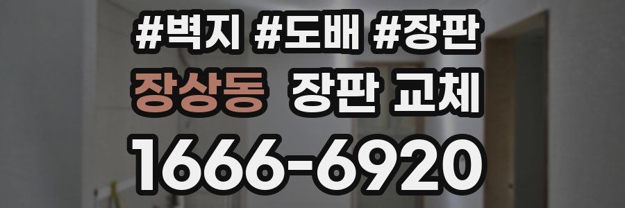 장상동 장판 교체