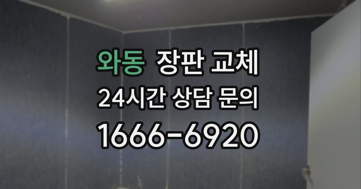 와동 장판 교체