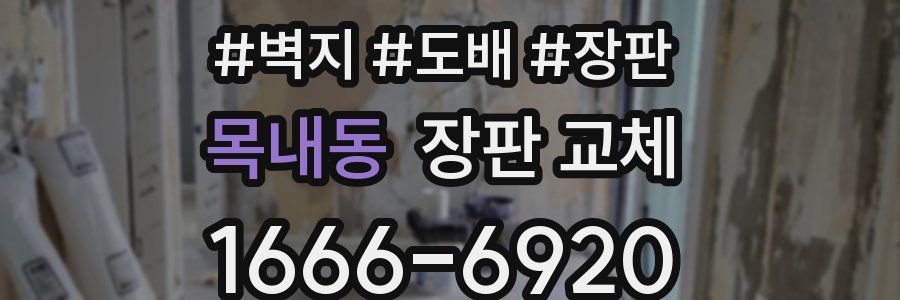 목내동 장판 교체