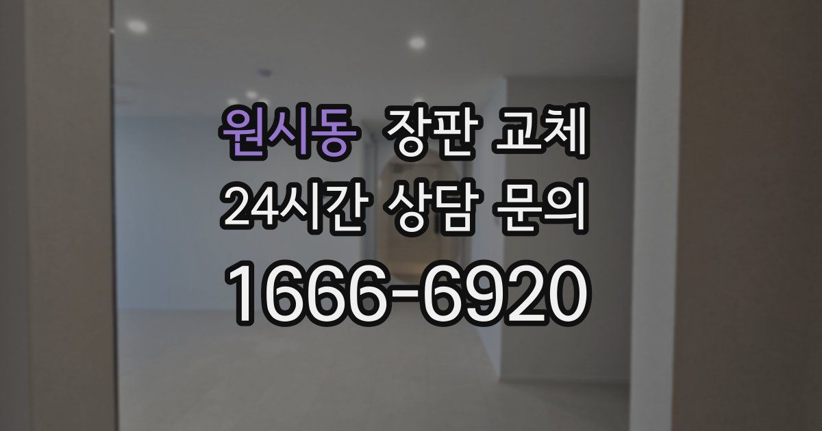 원시동 장판 교체