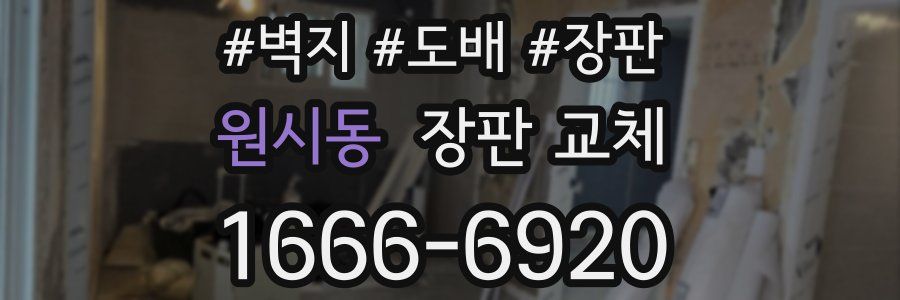 원시동 장판 교체