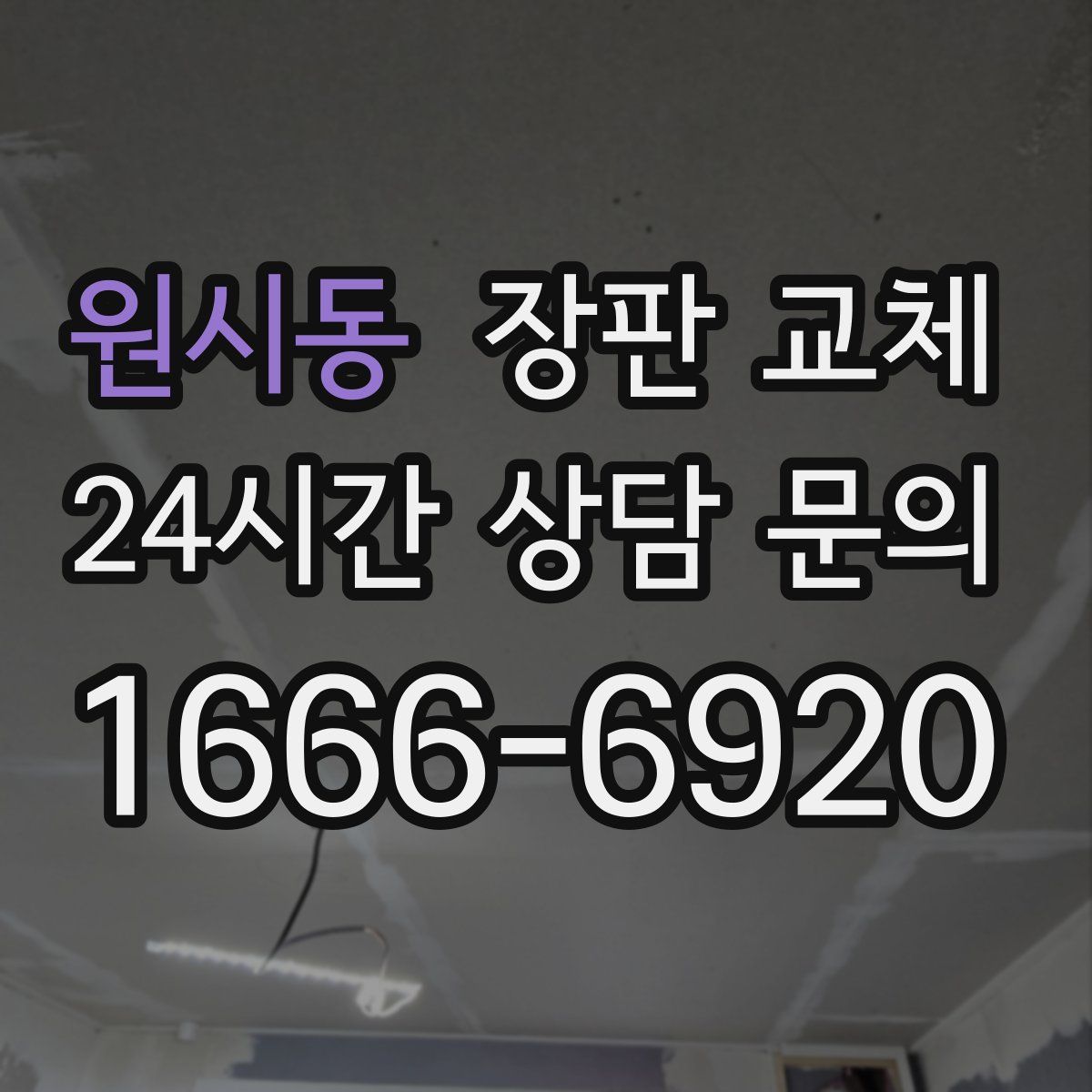 원시동 장판 교체