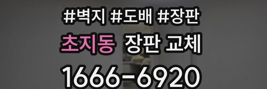 초지동 장판 교체