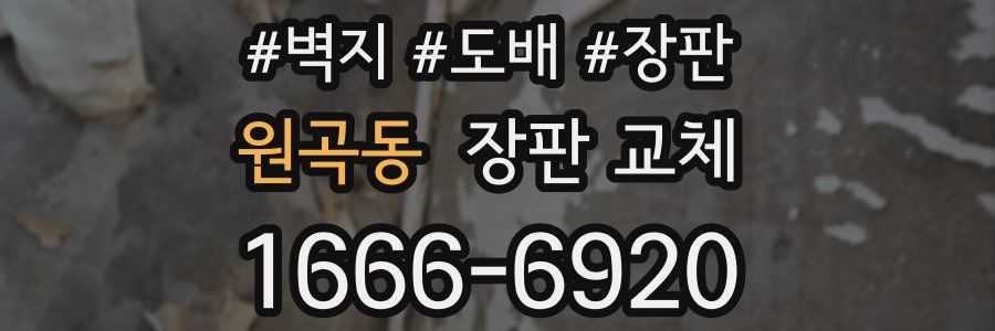 원곡동 장판 교체