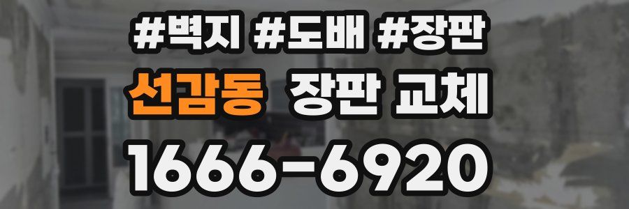 선감동 장판 교체