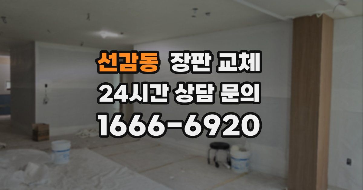 선감동 장판 교체