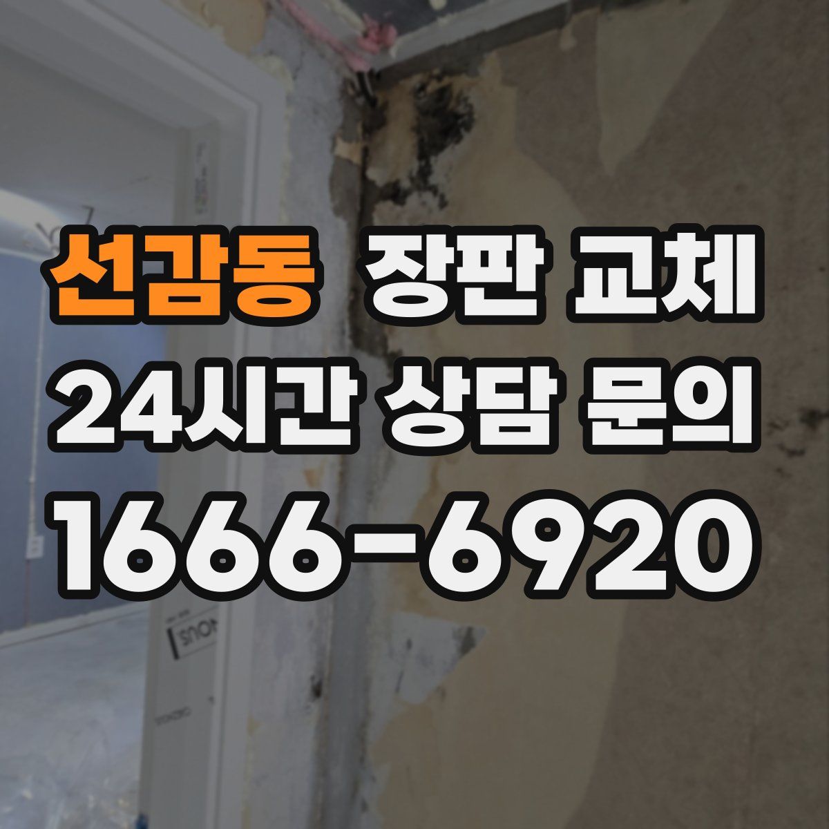 선감동 장판 교체