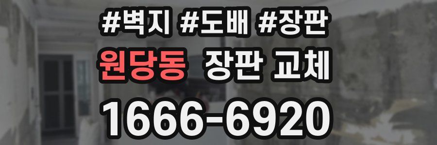 원당동 장판 교체