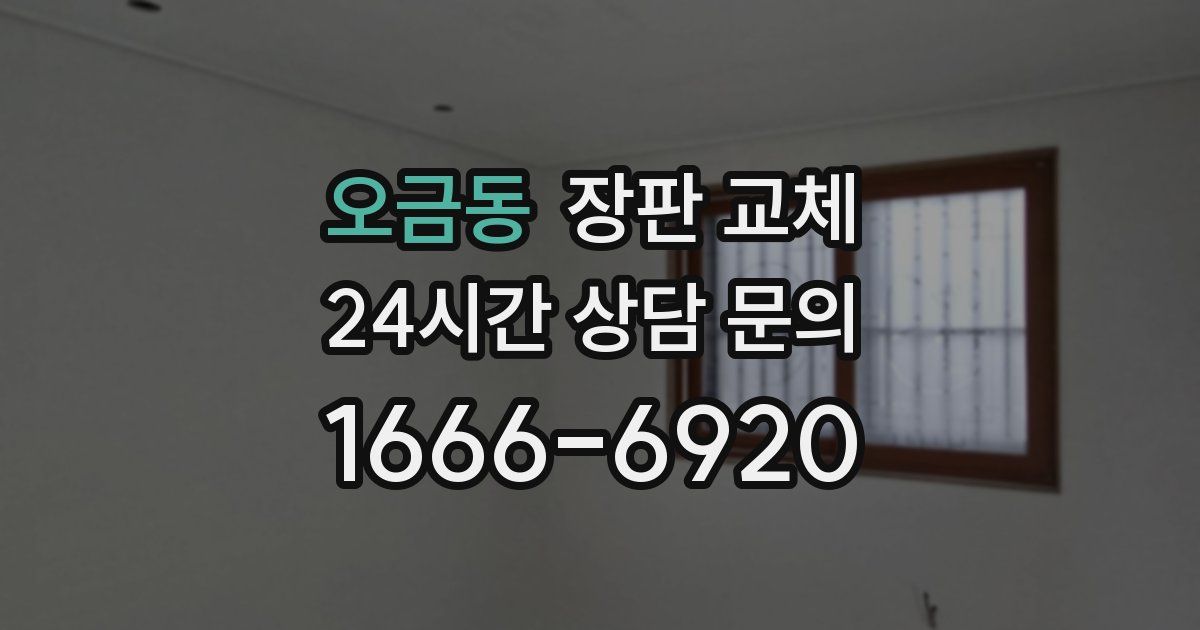 오금동 장판 교체