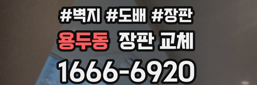 용두동 장판 교체