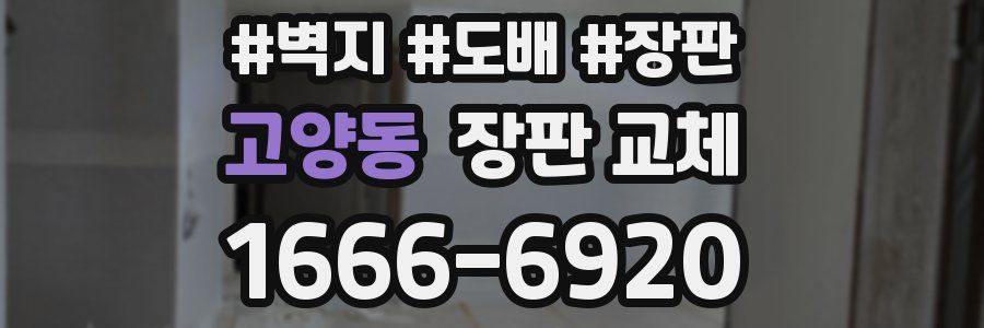 고양동 장판 교체