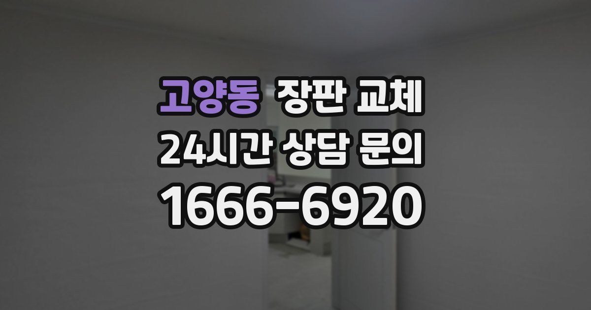 고양동 장판 교체