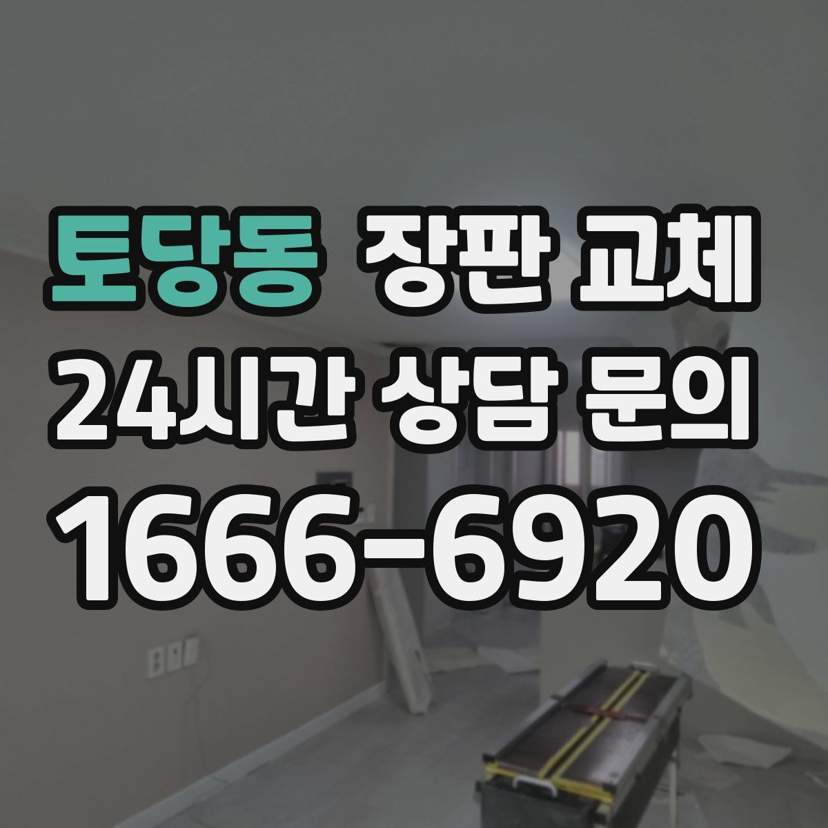 토당동 장판 교체
