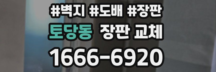 토당동 장판 교체