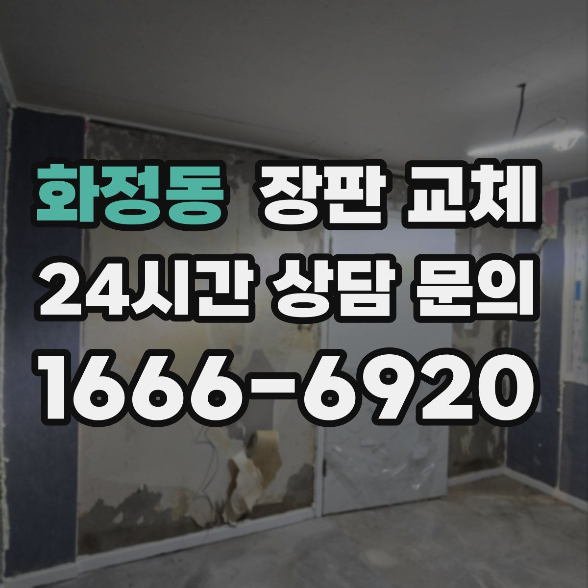 화정동 장판 교체