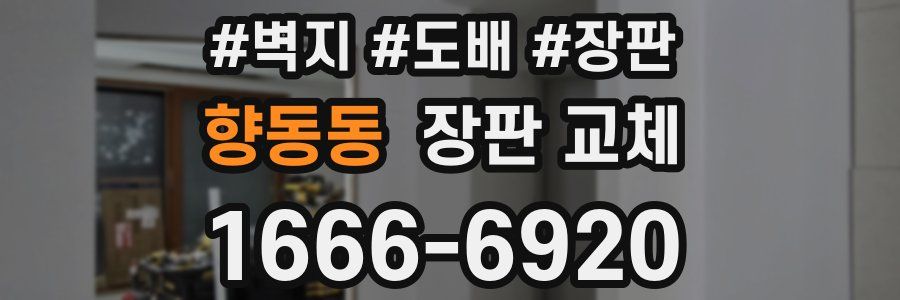 향동동 장판 교체