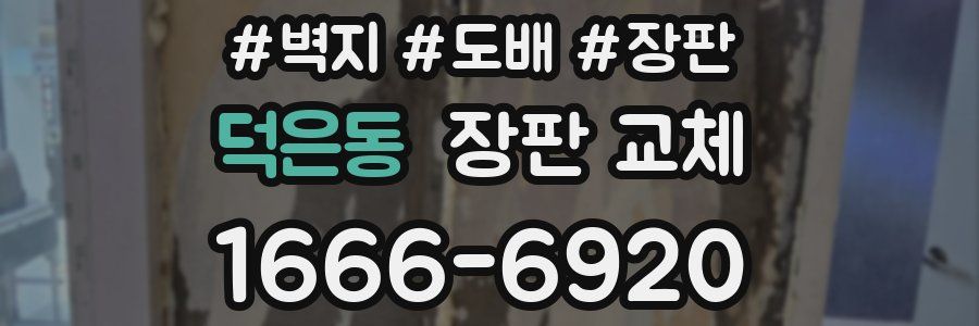 덕은동 장판 교체