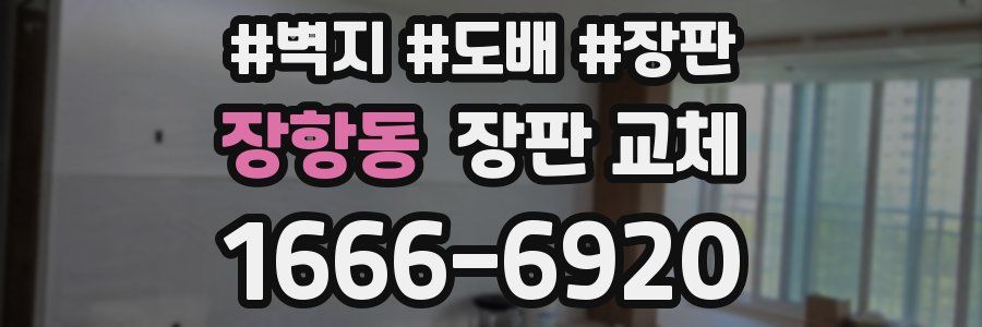 장항동 장판 교체