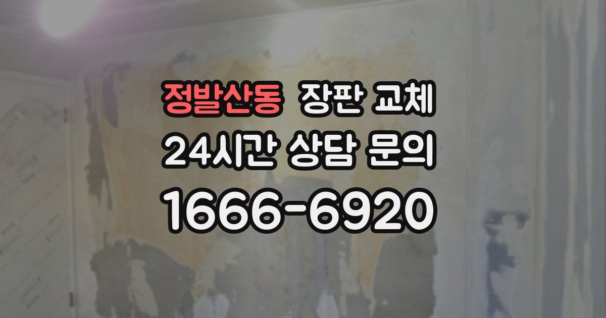 정발산동 장판 교체