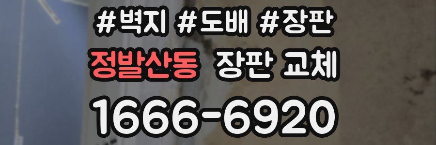 정발산동 장판 교체