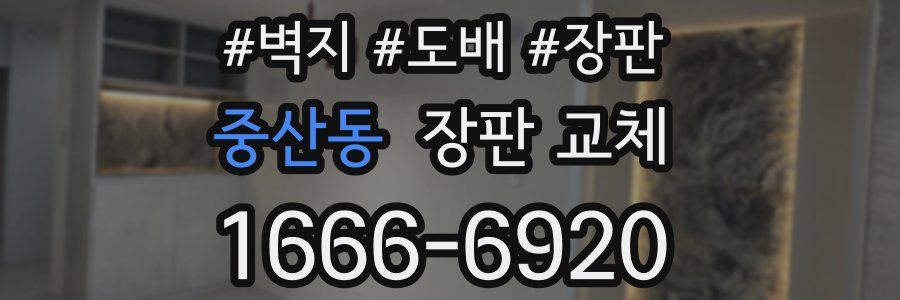 중산동 장판 교체