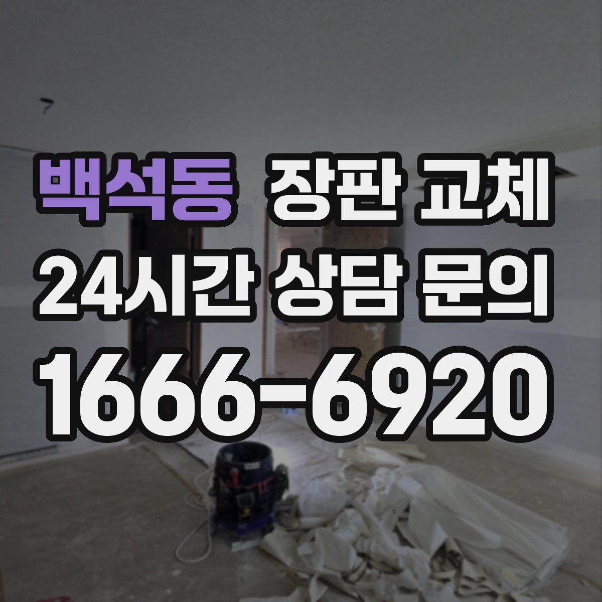 백석동 장판 교체