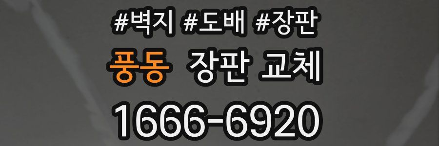 풍동 장판 교체