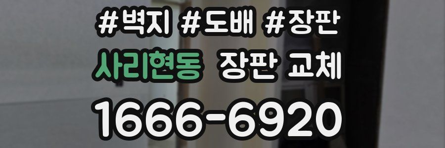 사리현동 장판 교체