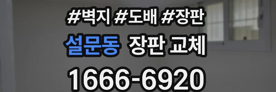 설문동 장판 교체