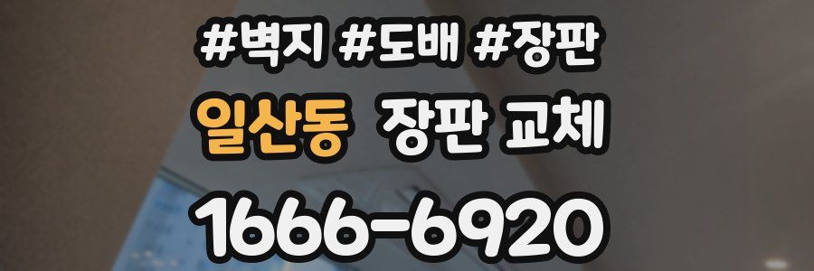 일산동 장판 교체