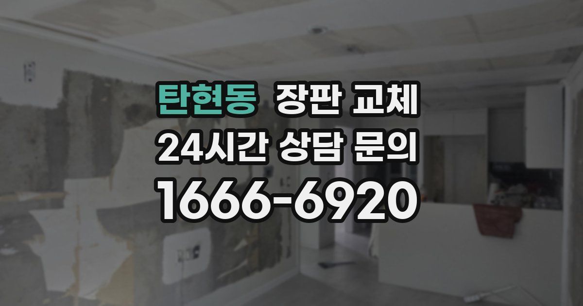 탄현동 장판 교체