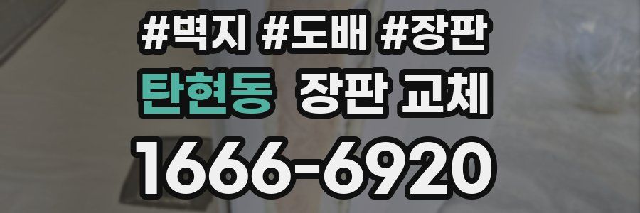 탄현동 장판 교체