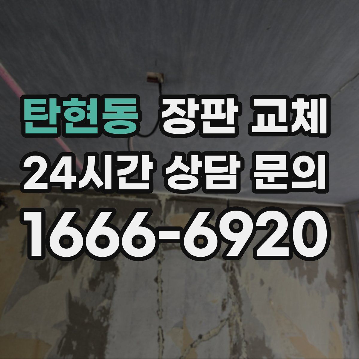 탄현동 장판 교체
