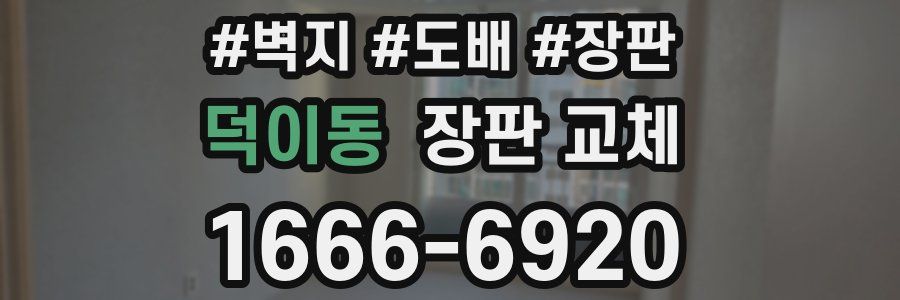 덕이동 장판 교체