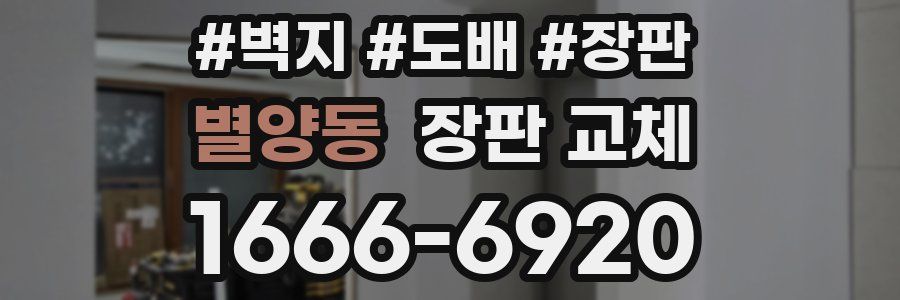 별양동 장판 교체