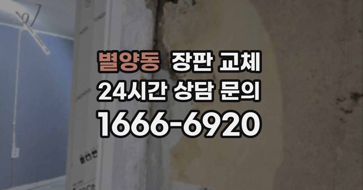 별양동 장판 교체